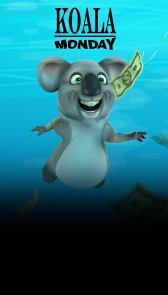 Koala Monday